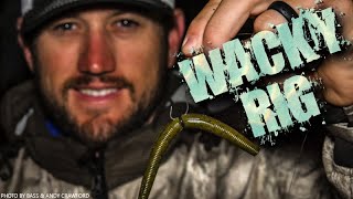 Awesome WACKY RIG TIPS & Bass Fishing SECRETS