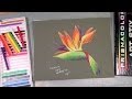 bird of paradise artstix full tutorial