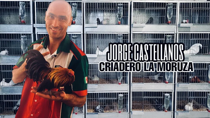 Jorge Castellanos - Criadero La Moruza