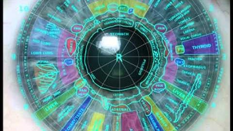 IRIDOLOGY TEACHING EYE #1