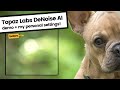Topaz Labs Denoise AI Tutorial Quiz