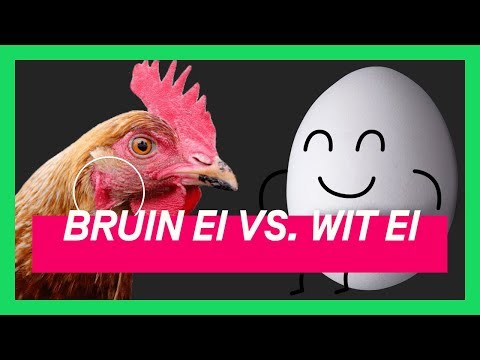 Waarom je beter witte eieren kan kopen | KEURINGSDIENST VAN WAARDE KORT #16