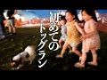 元保護犬と三姉妹、初めてのドッグランデビューで大喜び!!屋台飯を爆食!首輪も購入出来ました!