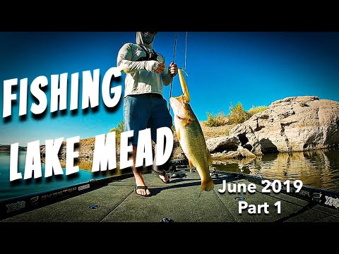 Bass Fishing LAKE MEAD Nevada –  Hot Weather Bass Fishing