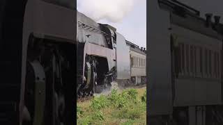 Norfolk & Western 611 at the Strasburg railroad
