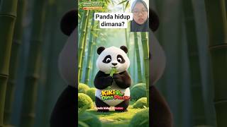 pernah lihat Panda di kebun binatang? #panda #animasi #anakcerdas #shortsanak