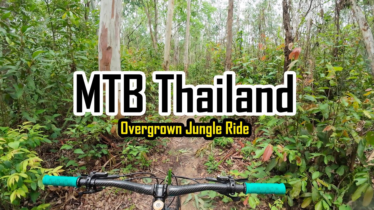 🎥MTB POV in Thailand's Overgrown Jungle Trails🐒- Part 2 - DOWNHILL!