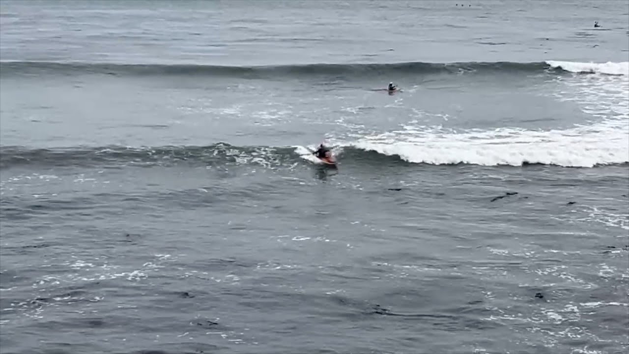 Santa Cruz Paddlefest 2025 Surf Kayak Women Cowells Round 1 YouTube santa-cruz-paddlefest-2025-surf-kayak-women-cowells-round-1-youtube