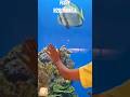 GETTING FISHY || HOTEL H2O MANILA || ORBICULAR BATFISH