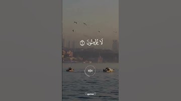 سورة البقرة | آيات ٥ - ٧ | احفظ معنا آية كل يوم#ماهر_المعيقلي
