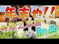 【マイクラ】年末や!!(マルチサーバーの宣伝もあるから見てね)