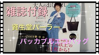 No.288  【雑誌付録】資生堂パーラーパッカブルエコバッグ