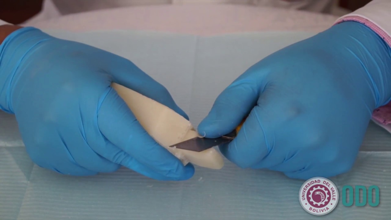 Tallado de dientes en jabón  (incisivos superiores)