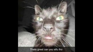 Vermintide 2 Shade Solo with bots Weave 41