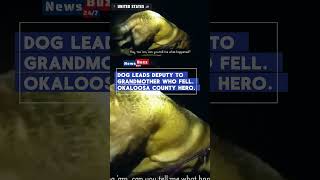 Dog Eeyore Guides Deputy to Grandma After She Falls | Florida Rescue Story