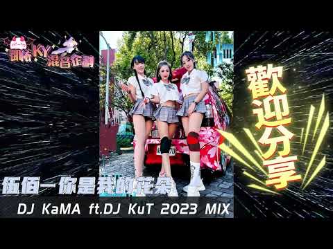 伍佰-你是我的花朵 DJ KaMA ft.DJ KuT 2023 MIX(凱依KY混音企劃團隊)