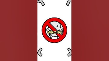 Some People Have Real Exoskeletons 🦴 #animation #sciencefacts #superpower