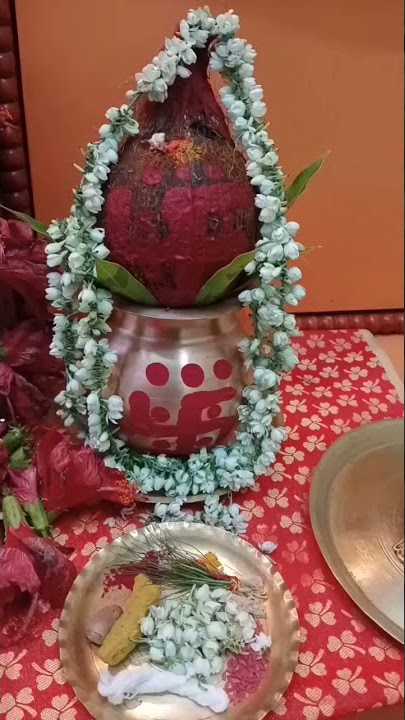 Maa Nirmala Devi Puja♥️#short