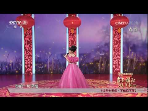 2017 CCTV Spring Festival Gala丨CCTV春晚