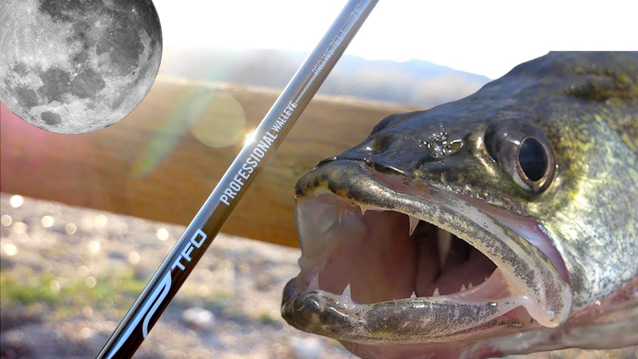 TFO Pro Staffer COfishBRO Talks Professional Walleye - Temple Fork