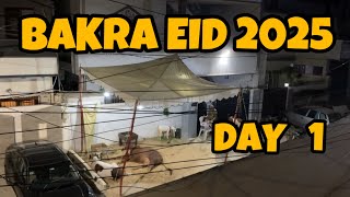Bakraeid 2025 10 Days Day 1