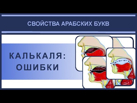 Video: Кайсы алфавитте 12 гана тамга бар