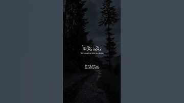 (والله خير الماكرين) Surah Al-Anfal (30-31) سورة الأنفال (٣٠-٣١)  Al Dosary | الشيخ ياسر الدوسري