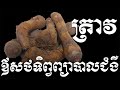 ត្រាវផ្តល់នូវអត្ថប្រយោជន៏និងគុណប្រយោជន៍ដ៏អស្ចារ្យជាឪសថល្អចំពោះសុខភាព - Health Inform