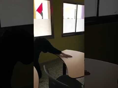 اغنيه عيضه المنهالي متصوع