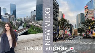 видео: 30 октября 2025 г. картинка: 30 октября 2025 г.