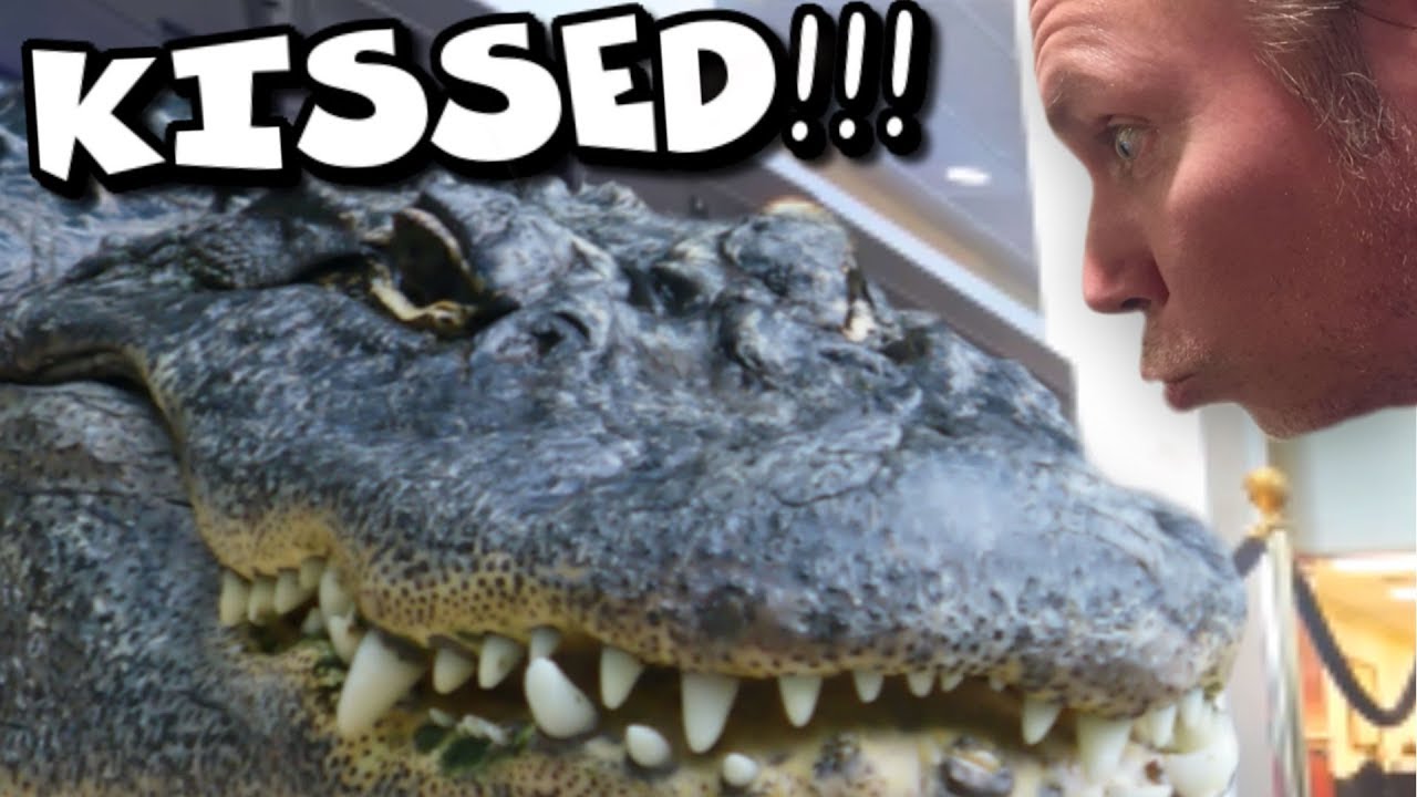 vlogs in spanish I KISSED A GIANT ALLIGATOR ON THE MOUTH!!! | BRIAN BARCZYK
