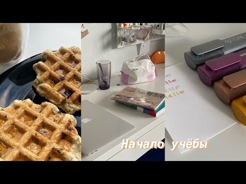 первое сентября, уборка и начало учебной рутины