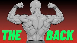 How to Build a Thicker, Wider Back: The 3D Vector System