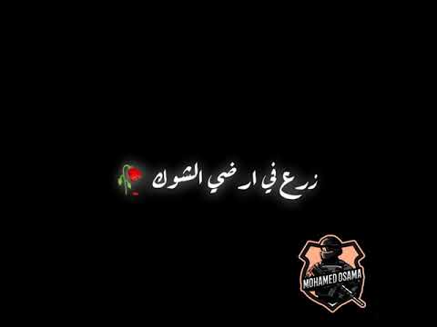حالات واتس لمهرجان شوفت يا فردة