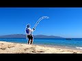 PESCA de PLAYA | PESCA en LA PAZ, BCS