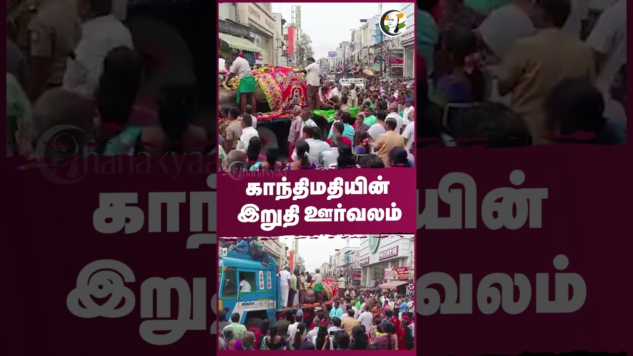 ⁣காந்திமதியின் இறுதி ஊர்வலம் | #elephant #chanakyaashorts #chanakyaa