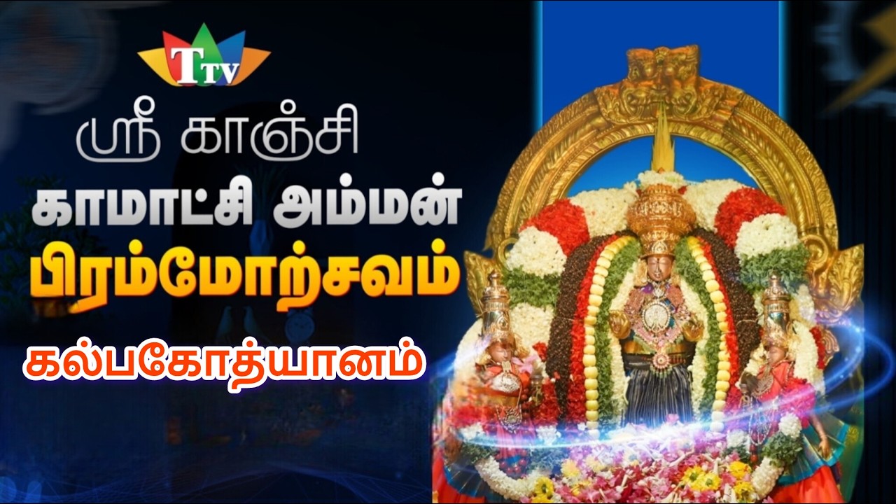 🔴LIVE: கல்பகோத்யானம் காஞ்சிபுரம் காமாட்சி அம்மன் பிரம்மோத்ஸ்வ விழா