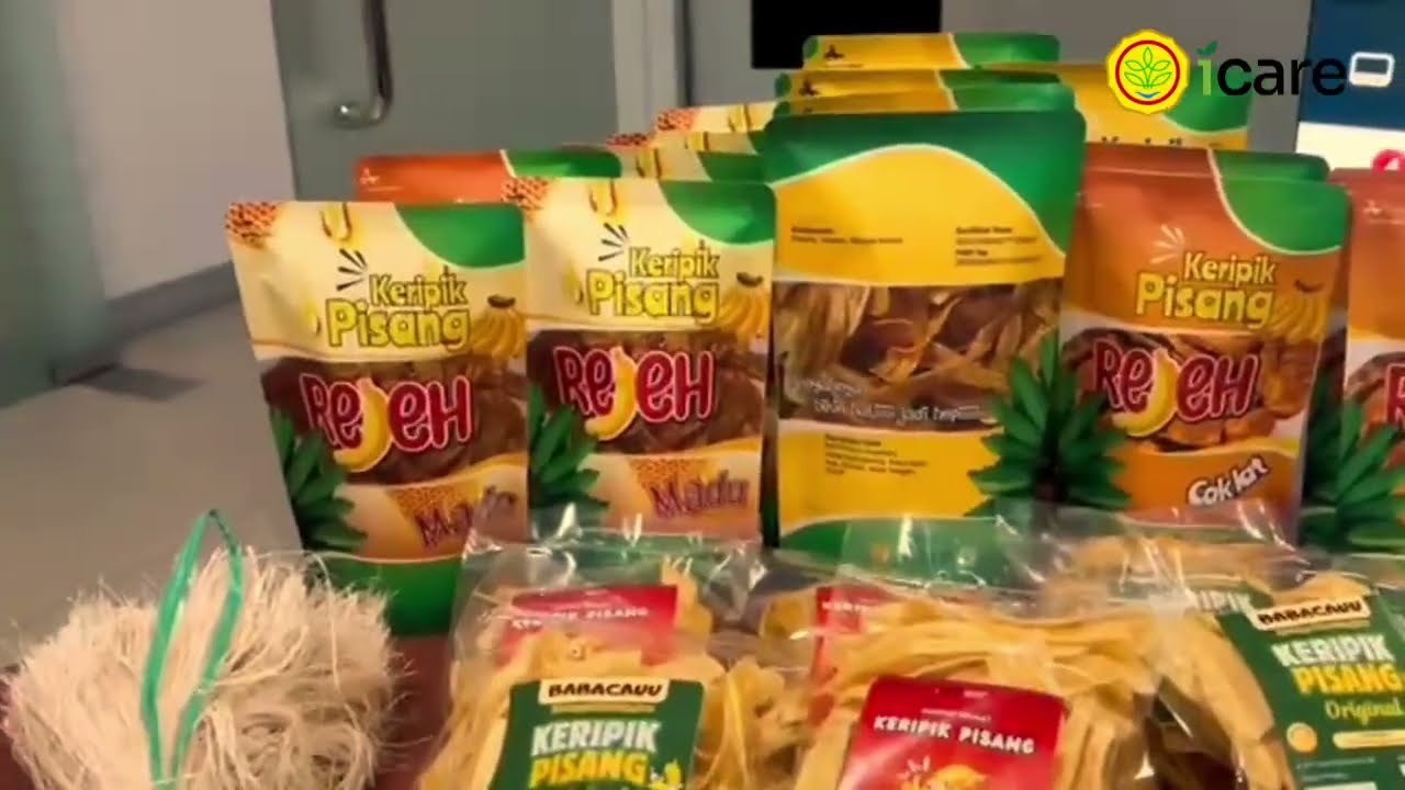 Seperti apa program besar ICARE di Kabupaten Brebes Jawa Tengah?