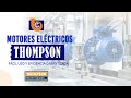 Motores electricos thompson Inducom