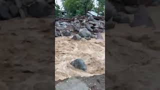 #followers #flood #highlights #friends #everyone #trending #viral  #fyp #love