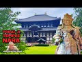 Todaiji Temple | Nara's Great Eastern Temple | One of Japan’s most significant Temples