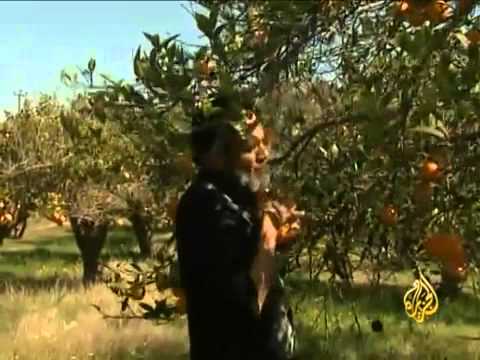 اقتصاد المنتصف 21/2/2013