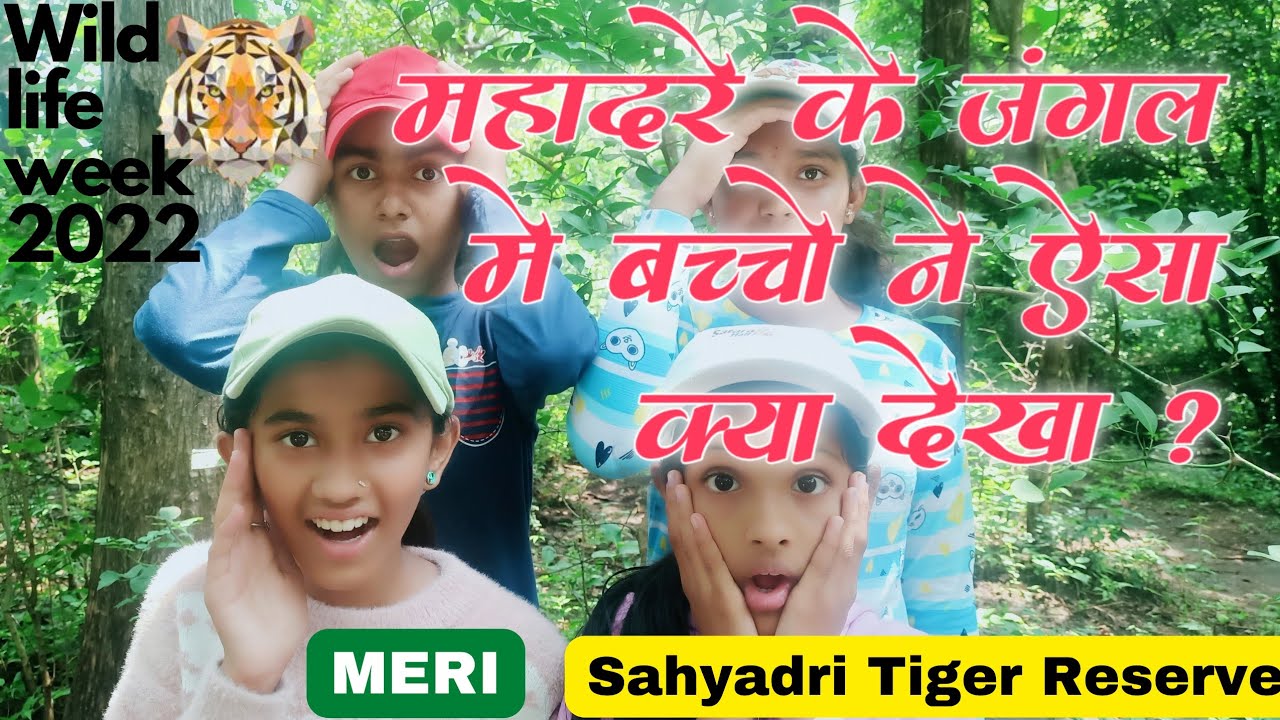 Wild Life Week-Mahadare/MERI, Sahyadri Tiger Reserve & Forest Department Satara #kaaspathar #satara