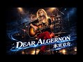氷室京介 &ldquo;  DEAR ALGERNON  &ldquo; |Hard Rock (Female Vocal) Live ver.  AICover  AICO