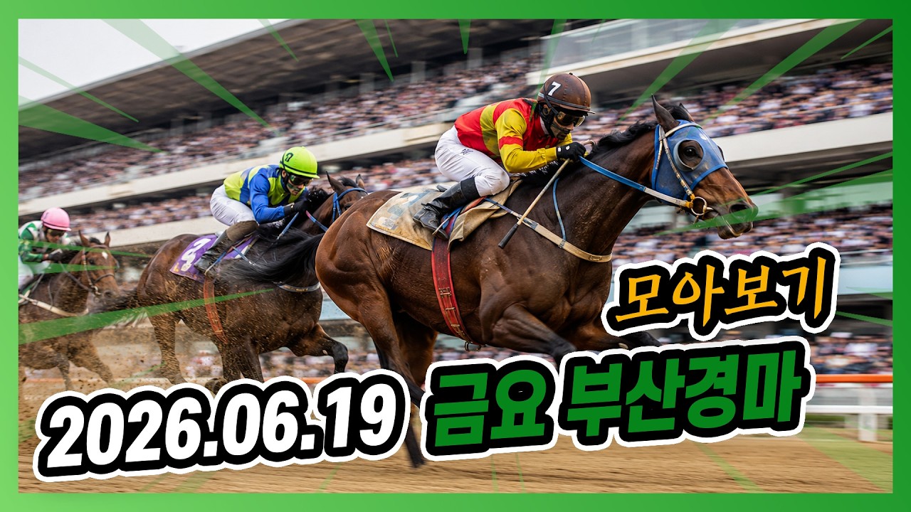 2026년 6월 19일 금요 부산경마 전체경주 모아보기