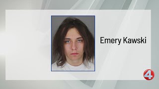 Man admits to fatal stabbing of dog in Tonawanda