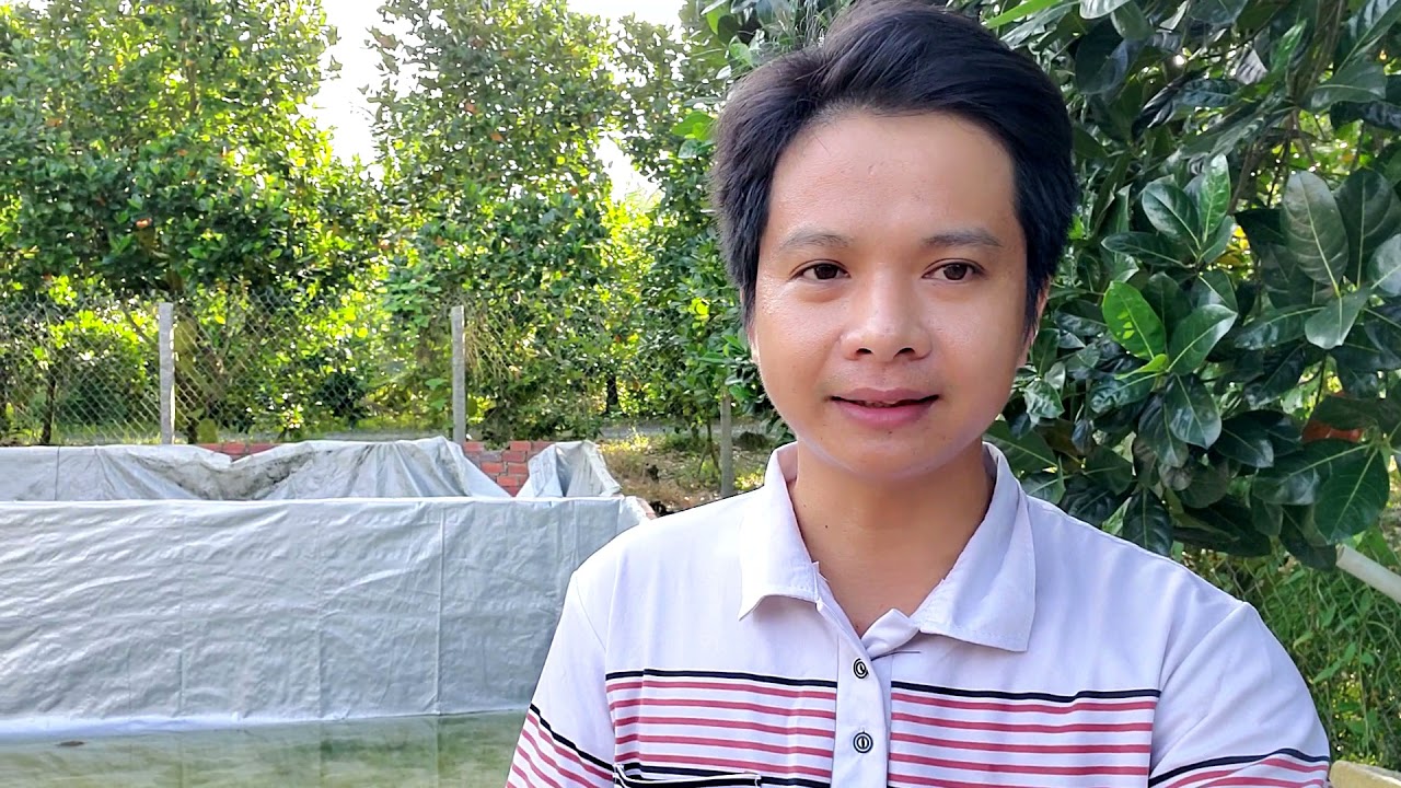 Cách Sử Lý Nòng Nọc Giai Đoạn 7 tơi 10 Vừa Lên Tảo Là C.h.ế+t