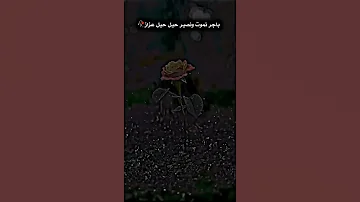 ستوري شعر ستوريات انستا حزين حالات واتساب حزينه ستوريات انستا هدوء اقتباس 