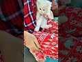 #cat 💞💕😻😻#catlover #kitten #cutecatandpuppyworld #pets #cutecat#ytshortsfeed#viralshort