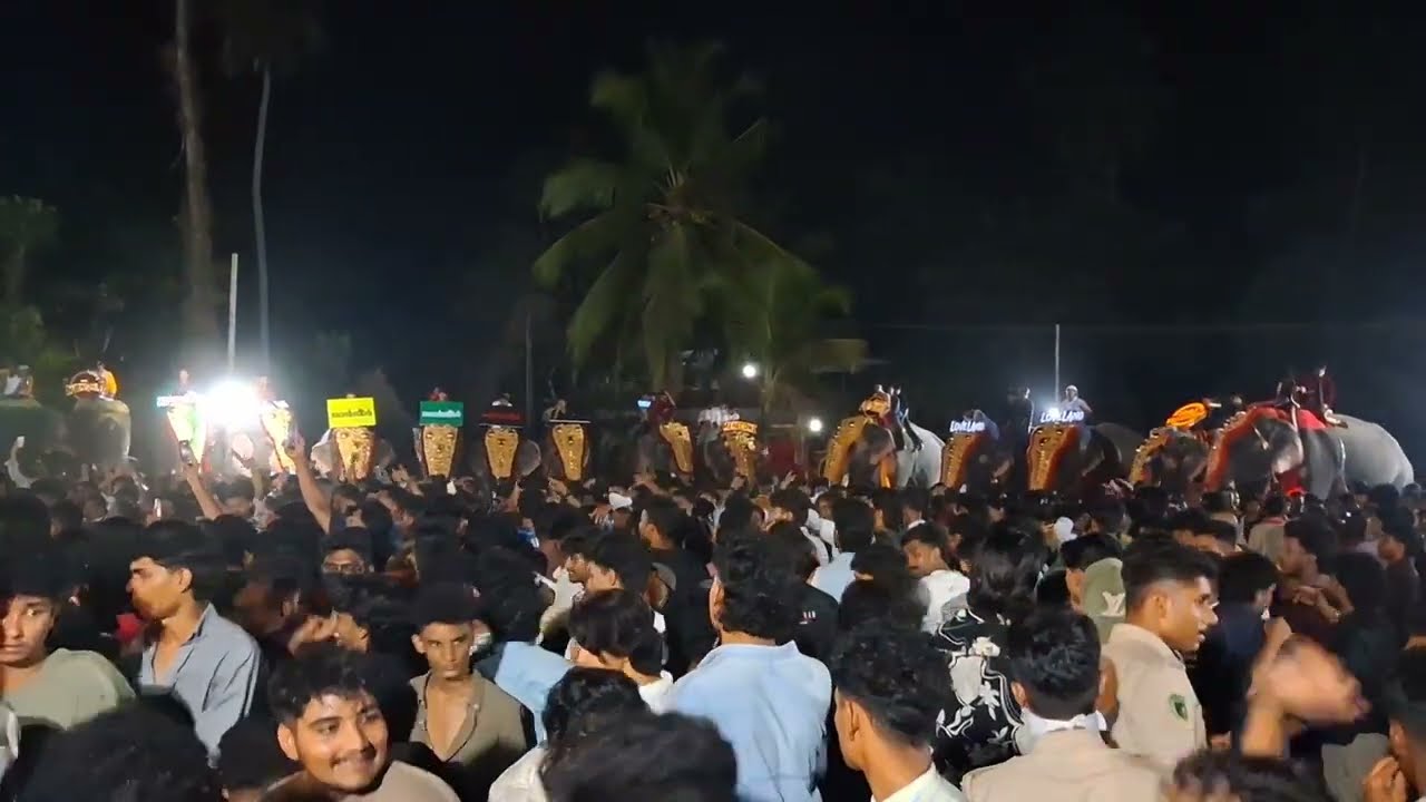 തൃത്താല പികെ കടവ് ഫെസ്റ്റ് 2026 part 2 kerala Palakkad trending 